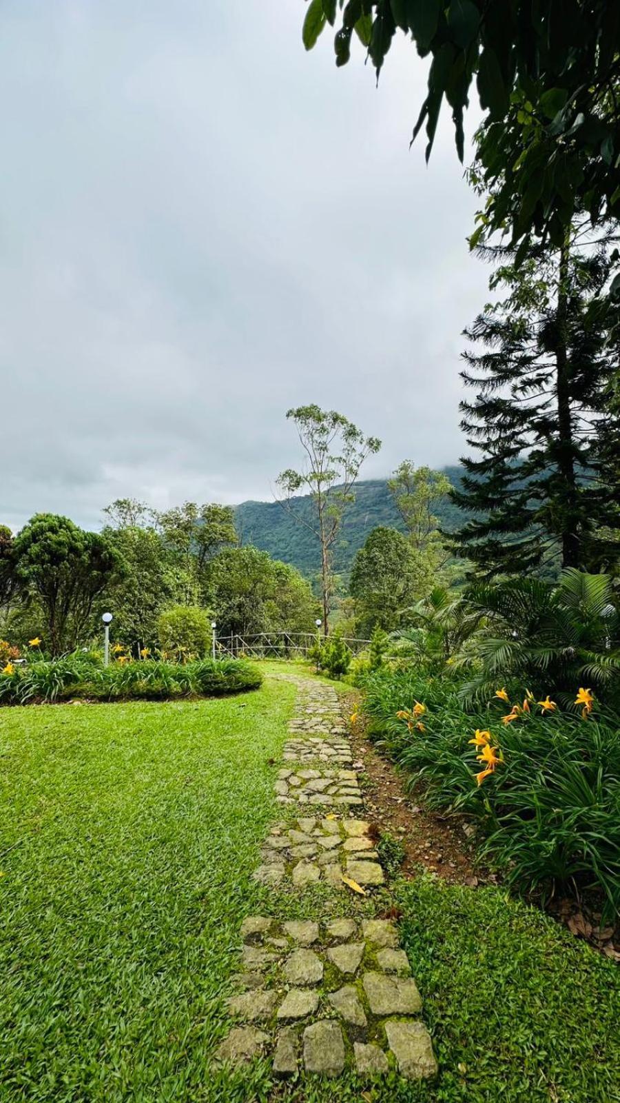 Wild Elephant Resort Kallar Vattiyar エクステリア 写真